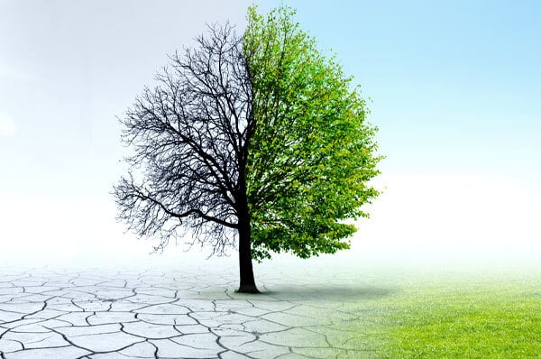 Is Change Management Missing from Your Retail Strategy?